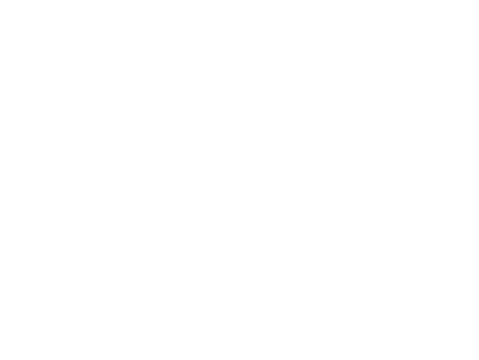 Camper Report