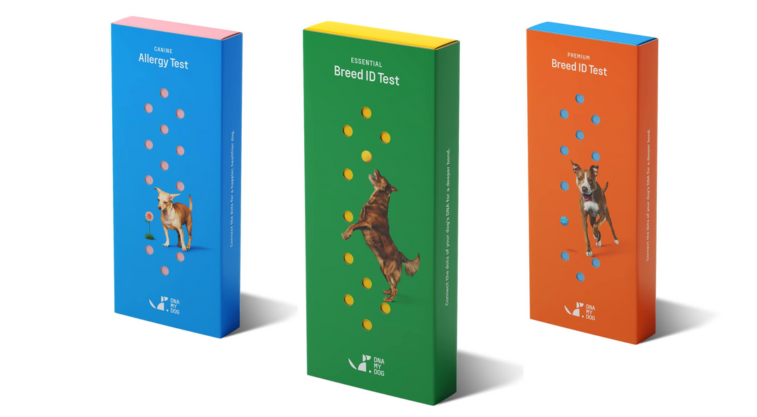 Save on dog DNA breed and health testing kits. Find out what your rescue is really made of.