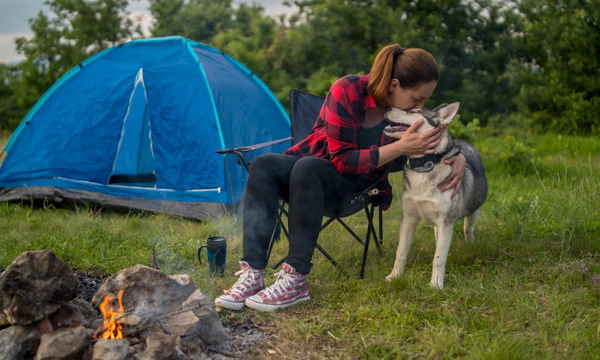Pet Discounts for RV Travelers