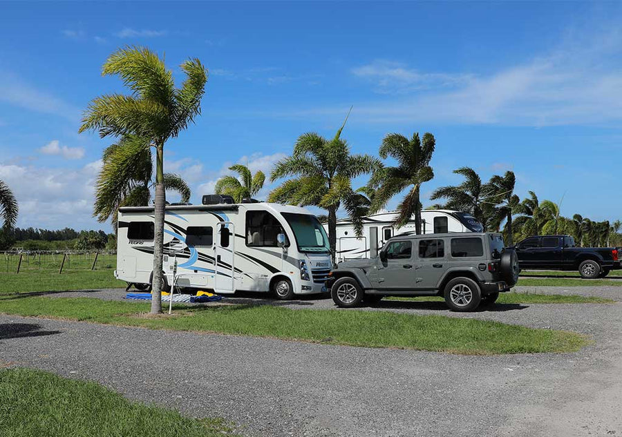 RVs and Vehicles surrounded by palm trees